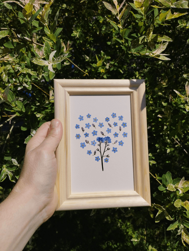 Coeur de Myosotis