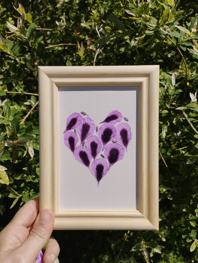 Coeur de Géranium